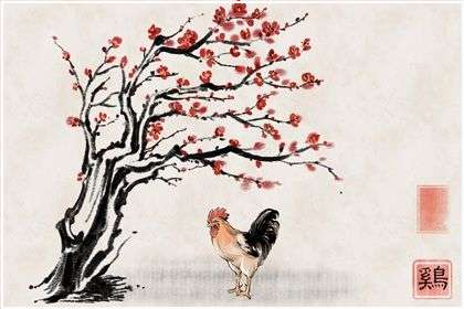 “井臼亲操”精准推断打一肖是什么,重点词文深意最佳优解